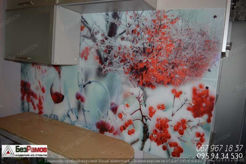 скинали стекло на кухню с фото печатью - <ro>Изображение</ro><ru>Изображение</ru> #6, <ru>Объявление</ru> #1545659