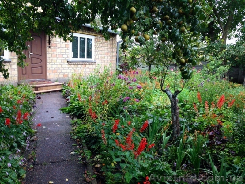 Если Вы заботитесь о здоровье своей семьи, то это объявление для Вас - <ro>Изображение</ro><ru>Изображение</ru> #1, <ru>Объявление</ru> #1552137