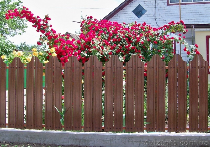 Евроштакетный Забор - <ro>Изображение</ro><ru>Изображение</ru> #3, <ru>Объявление</ru> #1553481