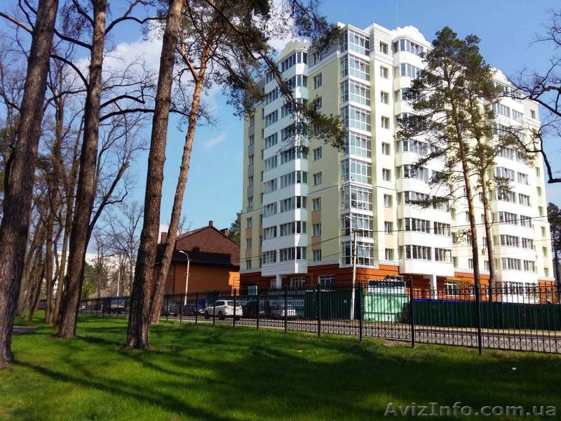 Сдам в аренду помещение в центре города под Ваш бизнес - <ro>Изображение</ro><ru>Изображение</ru> #3, <ru>Объявление</ru> #1548786