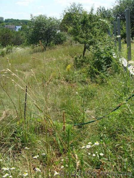 Продам участок 12 соток в живописном районе Киевской области. - <ro>Изображение</ro><ru>Изображение</ru> #5, <ru>Объявление</ru> #1559614