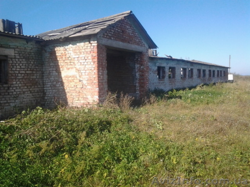 Продается здание фермы в аварийном состоянии. Фастов - <ro>Изображение</ro><ru>Изображение</ru> #3, <ru>Объявление</ru> #1568387