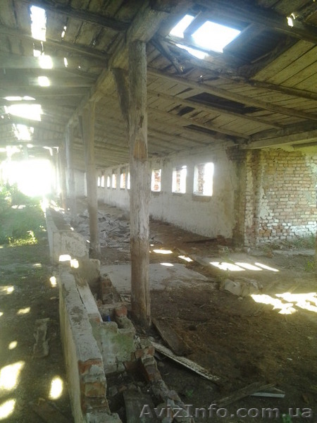 Продается здание фермы в аварийном состоянии. Фастов - <ro>Изображение</ro><ru>Изображение</ru> #5, <ru>Объявление</ru> #1568387