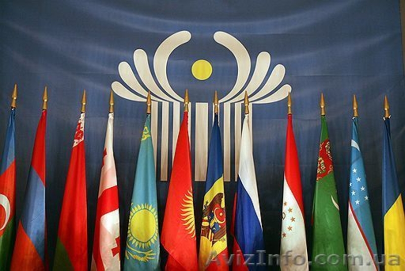 Международные грузоперевозки с или в Украину - <ro>Изображение</ro><ru>Изображение</ru> #3, <ru>Объявление</ru> #1565862