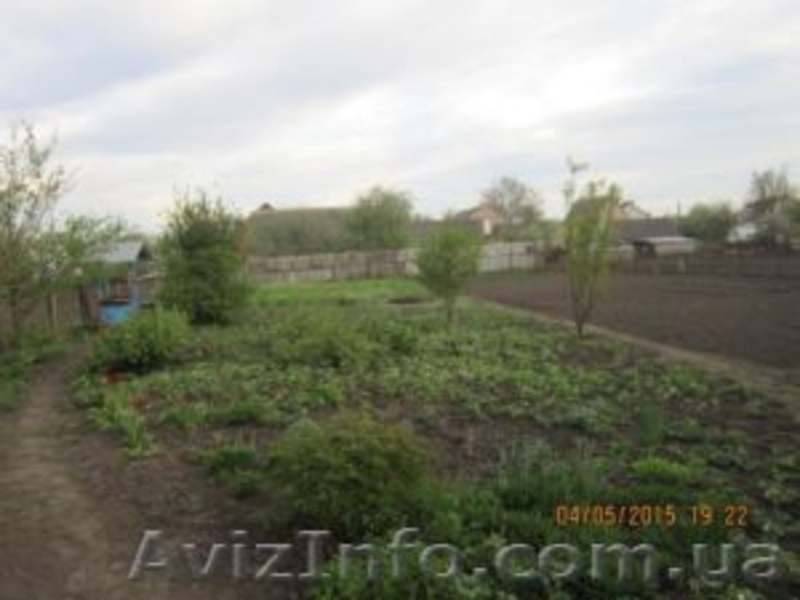 Продам дачу Киевская область - <ro>Изображение</ro><ru>Изображение</ru> #3, <ru>Объявление</ru> #1568186