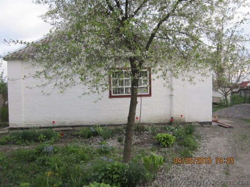 Продам дачу Киевская область - <ro>Изображение</ro><ru>Изображение</ru> #5, <ru>Объявление</ru> #1568186