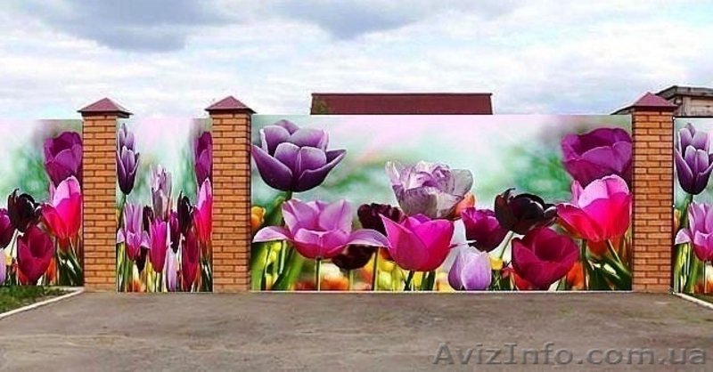 Фото сетка на забор, беседку, декор фасадов стен, ландшафтный дизайн. - <ro>Изображение</ro><ru>Изображение</ru> #8, <ru>Объявление</ru> #1567066