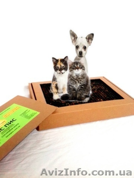 «ПІС ПІС».Натуральний лоток-туалет для собак та котів  - <ro>Изображение</ro><ru>Изображение</ru> #5, <ru>Объявление</ru> #1576593