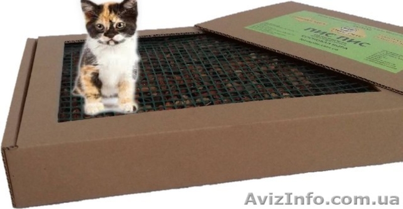 «ПІС ПІС».Натуральний лоток-туалет для собак та котів  - <ro>Изображение</ro><ru>Изображение</ru> #7, <ru>Объявление</ru> #1576593