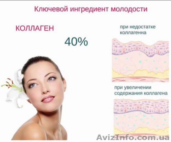 Протеиновый коктейль Daily Delicious с Коллагеном - <ro>Изображение</ro><ru>Изображение</ru> #5, <ru>Объявление</ru> #1578116