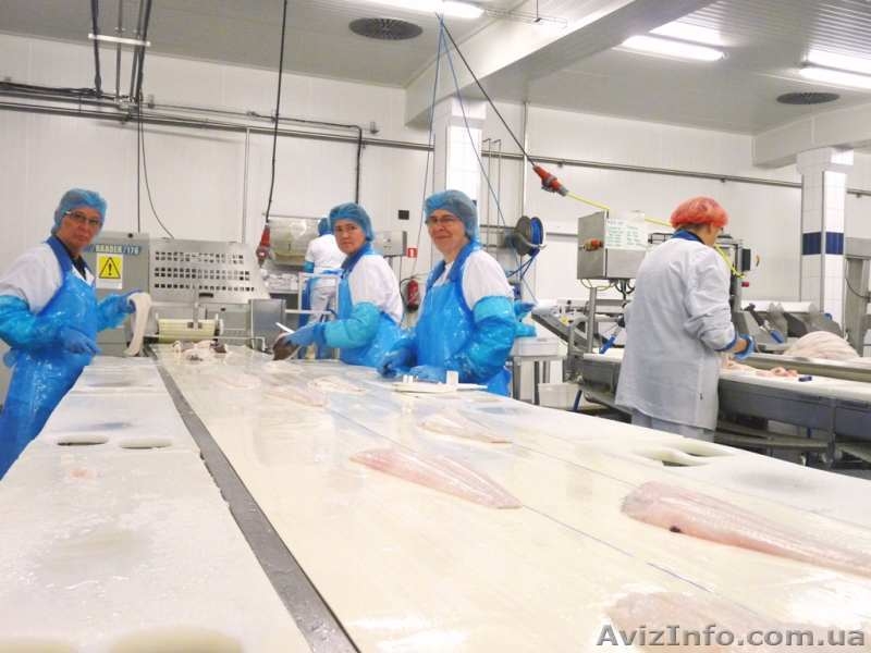 Требуются физические работники. - <ro>Изображение</ro><ru>Изображение</ru> #2, <ru>Объявление</ru> #1583464