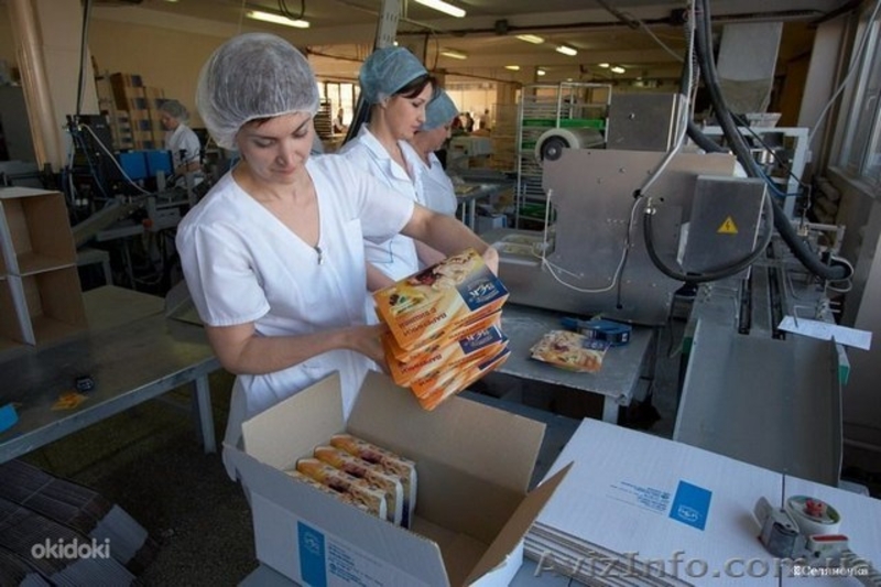 Робота в Польше для мужчин, женщин и семейных пар - <ro>Изображение</ro><ru>Изображение</ru> #3, <ru>Объявление</ru> #1583442