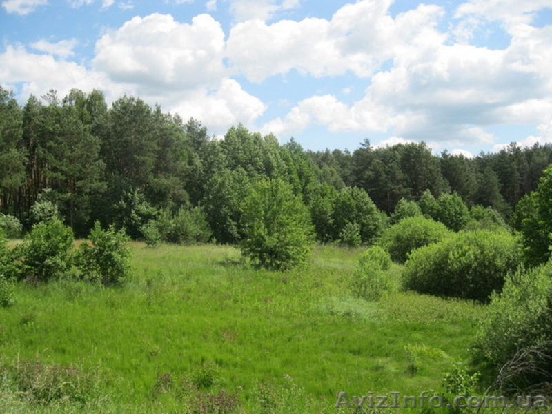 Продам земельный участок под застройку. - <ro>Изображение</ro><ru>Изображение</ru> #2, <ru>Объявление</ru> #1583876