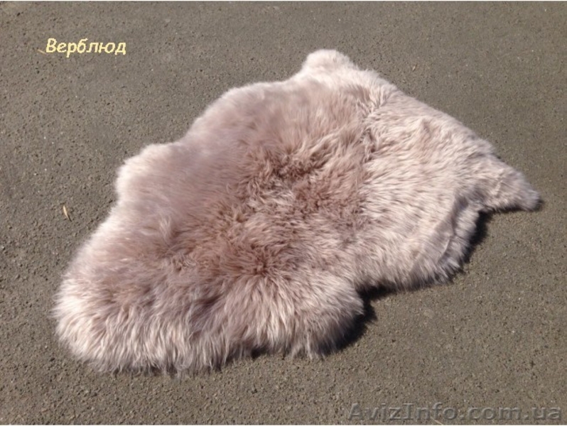 Овечьи шкуры по оптовым ценам! Размер: 0.60х1.00 - <ro>Изображение</ro><ru>Изображение</ru> #7, <ru>Объявление</ru> #1582596