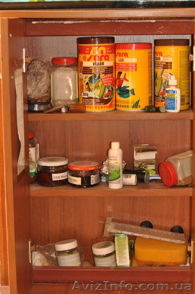 Аквариум 420л + наилучшее оборудование! Дешево и сердито! - <ro>Изображение</ro><ru>Изображение</ru> #3, <ru>Объявление</ru> #1588464