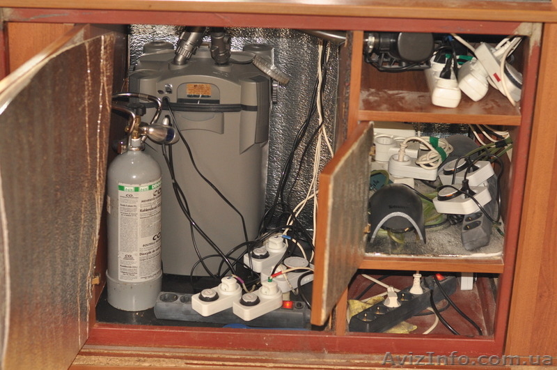 Аквариум 420л + наилучшее оборудование! Дешево и сердито! - <ro>Изображение</ro><ru>Изображение</ru> #4, <ru>Объявление</ru> #1588464