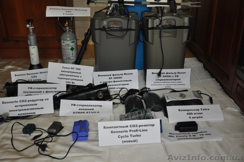 Аквариум 420л + наилучшее оборудование! Дешево и сердито! - <ro>Изображение</ro><ru>Изображение</ru> #5, <ru>Объявление</ru> #1588464