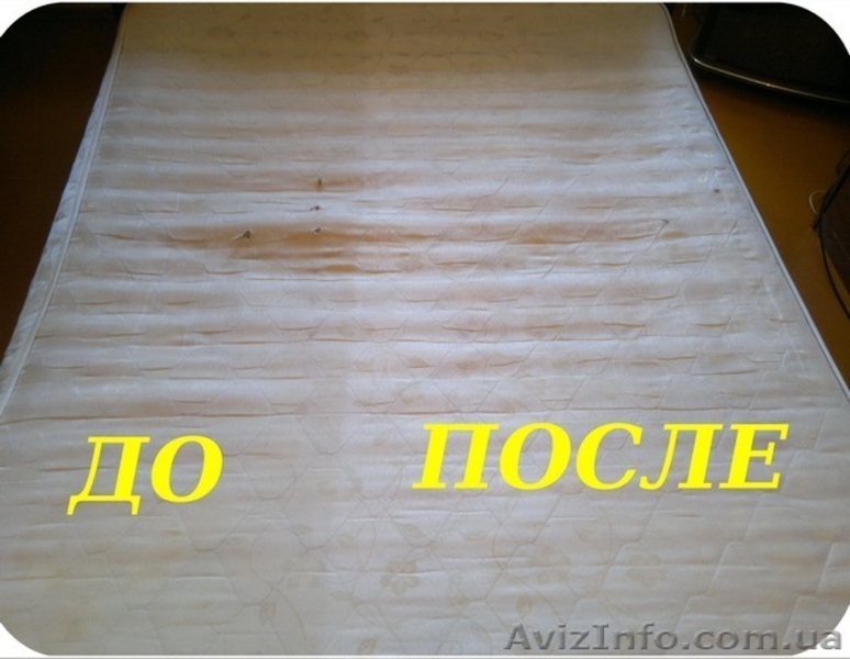 Химчистка, чистка ковров и мягкой мебели. - <ro>Изображение</ro><ru>Изображение</ru> #2, <ru>Объявление</ru> #1593929