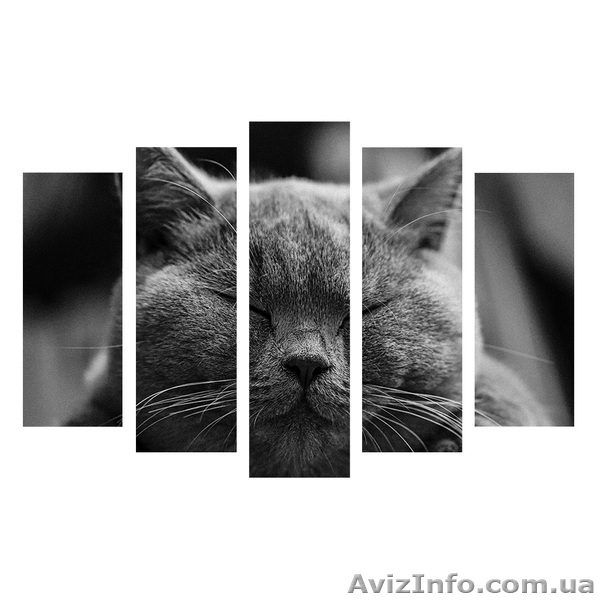 Оптовая продажа модульных картин - <ro>Изображение</ro><ru>Изображение</ru> #3, <ru>Объявление</ru> #1591473