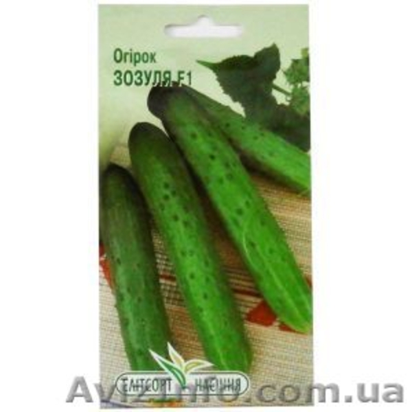 Саженцы, удобрения, семена, садовый инвентарь в Киеве - <ro>Изображение</ro><ru>Изображение</ru> #6, <ru>Объявление</ru> #1593760