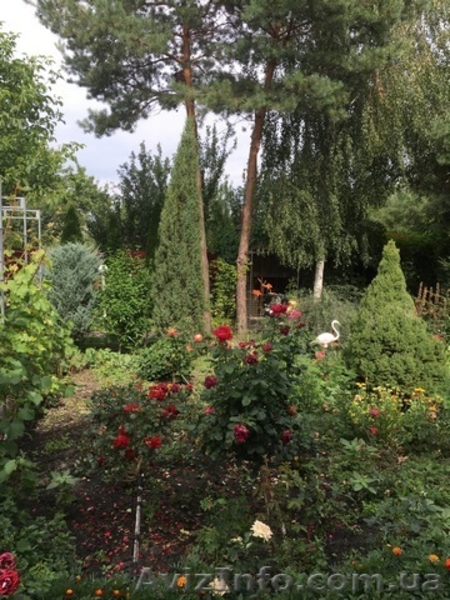 Срочно продам современный и теплый дом со всеми коммуникациями. - <ro>Изображение</ro><ru>Изображение</ru> #5, <ru>Объявление</ru> #1598386