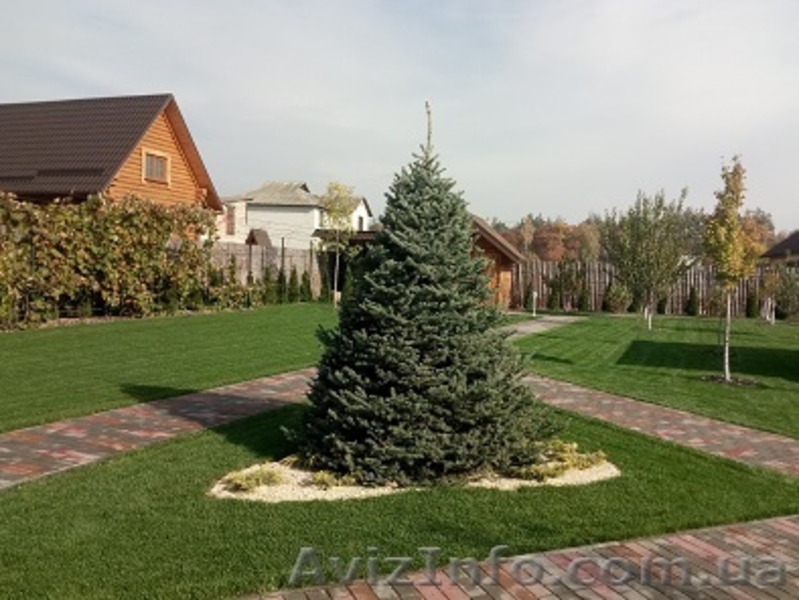 Устройство газона - <ro>Изображение</ro><ru>Изображение</ru> #2, <ru>Объявление</ru> #1601635