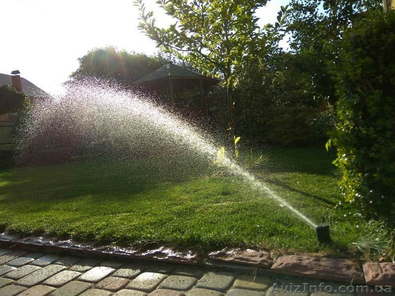 Устройство автоматического полива - <ro>Изображение</ro><ru>Изображение</ru> #1, <ru>Объявление</ru> #1601634