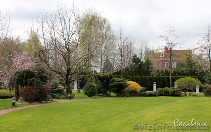 Уход за садом   - <ro>Изображение</ro><ru>Изображение</ru> #6, <ru>Объявление</ru> #420594