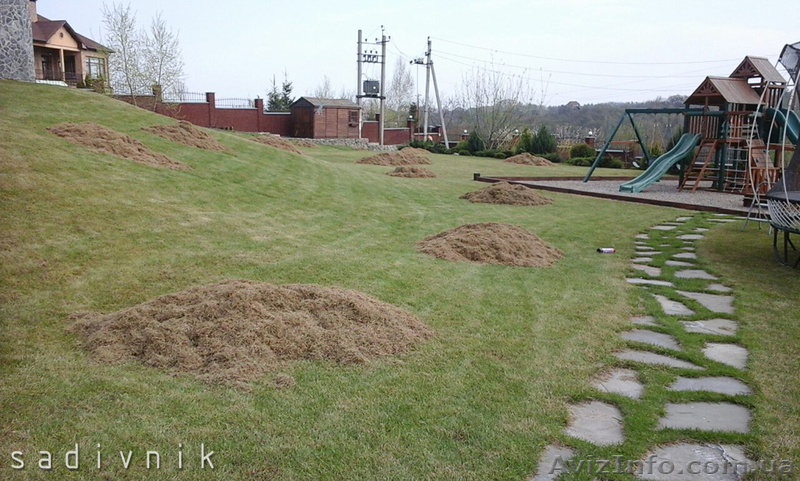 Вычесывание газона. Уход за газоном  - <ro>Изображение</ro><ru>Изображение</ru> #2, <ru>Объявление</ru> #544421