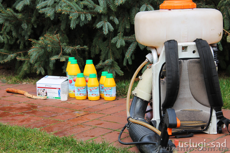 Обработка сада. Химическое опрыскивание деревьев Киев и область - <ro>Изображение</ro><ru>Изображение</ru> #2, <ru>Объявление</ru> #855791