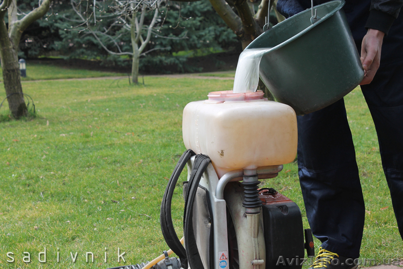 Опрыскивание растений от болезней и вредителей. Обработка сада - <ro>Изображение</ro><ru>Изображение</ru> #3, <ru>Объявление</ru> #544425