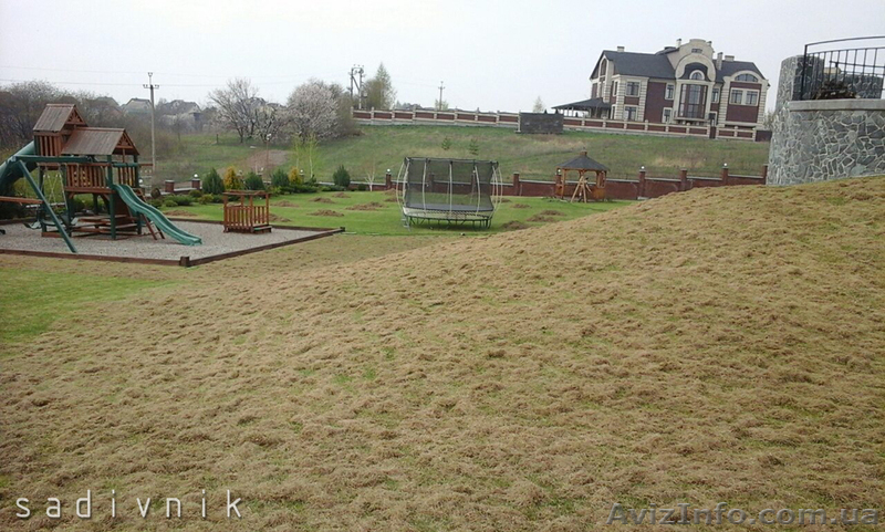 Вычесывание газона. Уход за газоном  - <ro>Изображение</ro><ru>Изображение</ru> #3, <ru>Объявление</ru> #544421