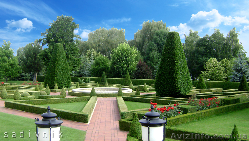 Комплексный уход за садом. Услуги садовника  - <ro>Изображение</ro><ru>Изображение</ru> #2, <ru>Объявление</ru> #544420