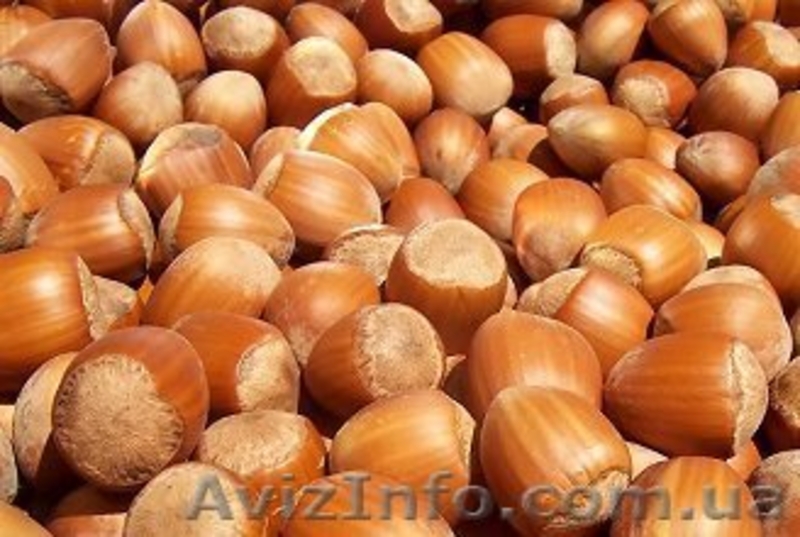 «Солнце сад» - Садовый центр предлагает оптом следующие сорта саженцев - <ro>Изображение</ro><ru>Изображение</ru> #2, <ru>Объявление</ru> #1611751