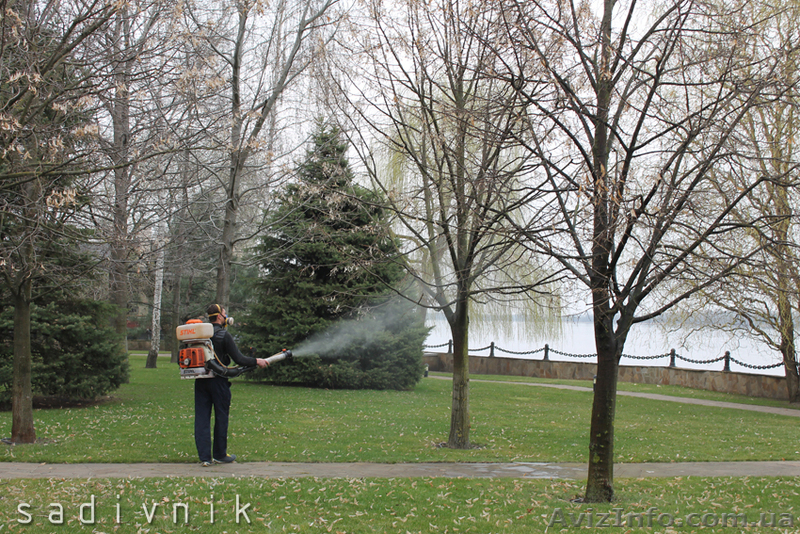 Опрыскивание растений от болезней и вредителей. Обработка сада - <ro>Изображение</ro><ru>Изображение</ru> #4, <ru>Объявление</ru> #544425