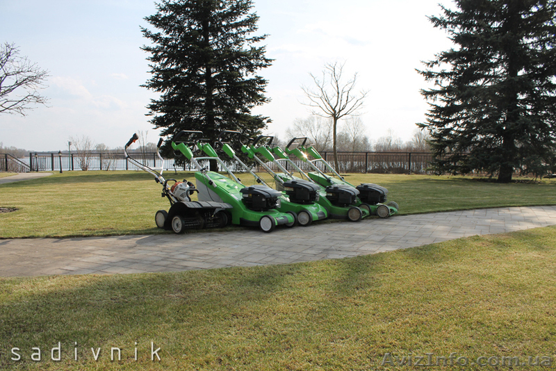 Вычесывание газона. Уход за газоном  - <ro>Изображение</ro><ru>Изображение</ru> #4, <ru>Объявление</ru> #544421