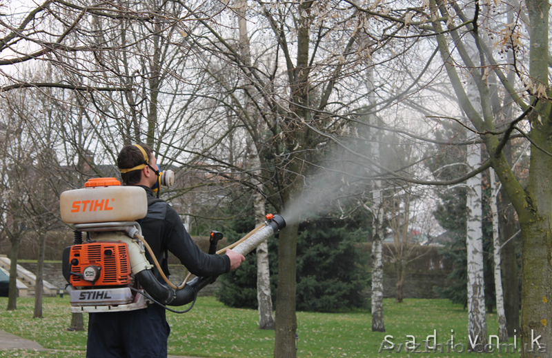 Комплексный уход за садом. Услуги садовника  - <ro>Изображение</ro><ru>Изображение</ru> #3, <ru>Объявление</ru> #544420