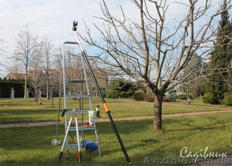 Уход за садом   - <ro>Изображение</ro><ru>Изображение</ru> #5, <ru>Объявление</ru> #420594