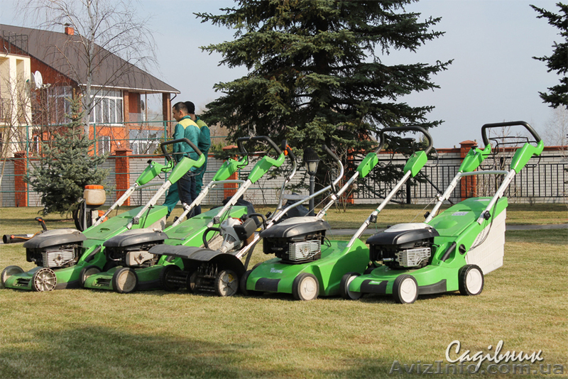 Уход за газоном, вычесывание газона - <ro>Изображение</ro><ru>Изображение</ru> #5, <ru>Объявление</ru> #419753