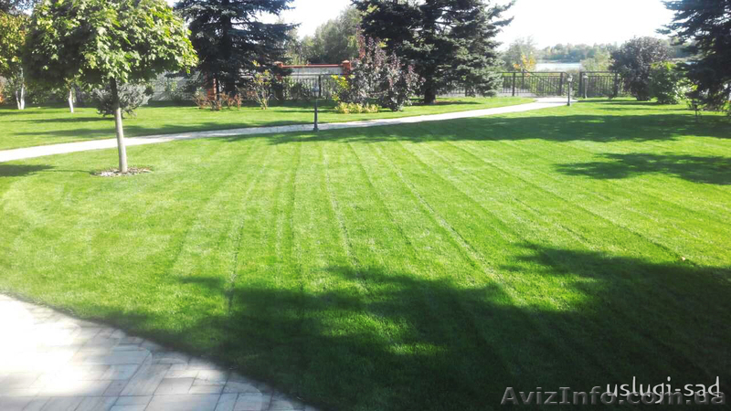 Устройство газона, рулонный газон. Уход за газоном - <ro>Изображение</ro><ru>Изображение</ru> #6, <ru>Объявление</ru> #1047680