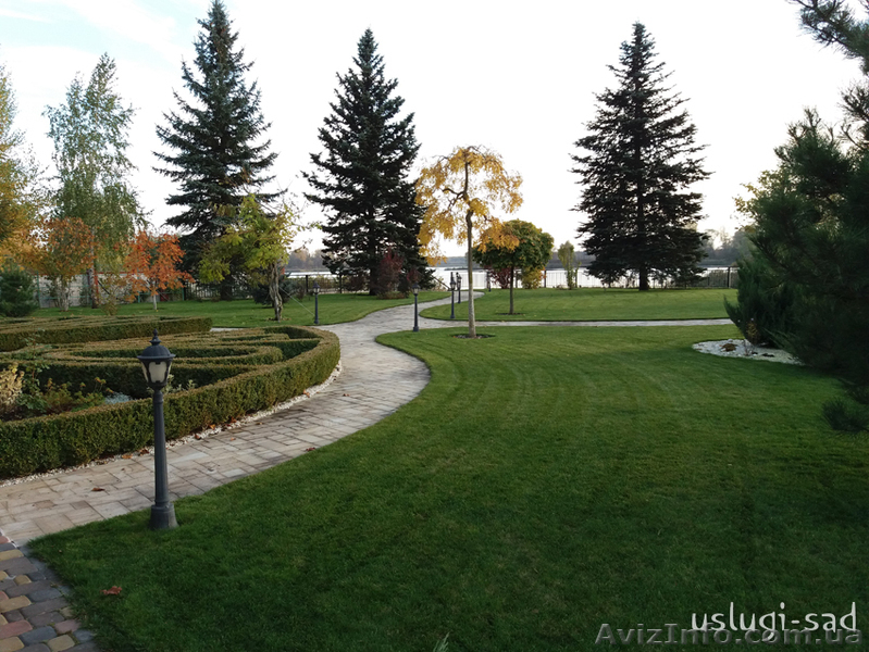 Устройство газона, рулонный газон. Уход за газоном - <ro>Изображение</ro><ru>Изображение</ru> #7, <ru>Объявление</ru> #1047680