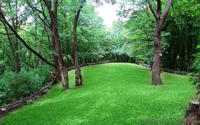 Участок 16 соток с жилым домом Возле леса, в Голосеевском р-не. - <ro>Изображение</ro><ru>Изображение</ru> #4, <ru>Объявление</ru> #1618999
