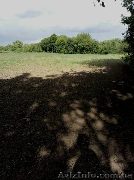 Дача на обмен или продажу - <ro>Изображение</ro><ru>Изображение</ru> #3, <ru>Объявление</ru> #1052461