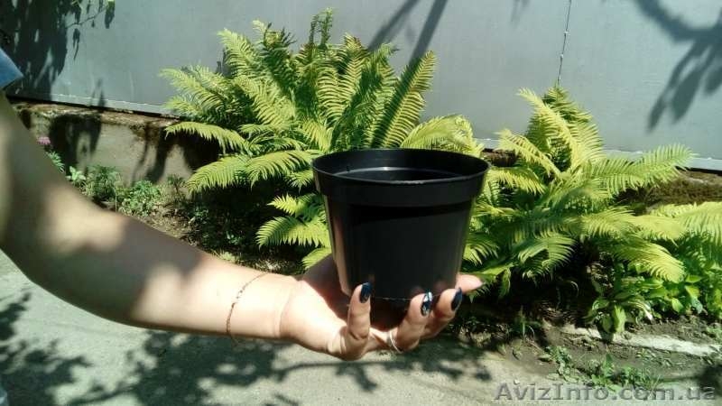 Цветочные горшки KLODA, Польша, оптом - <ro>Изображение</ro><ru>Изображение</ru> #3, <ru>Объявление</ru> #1622098