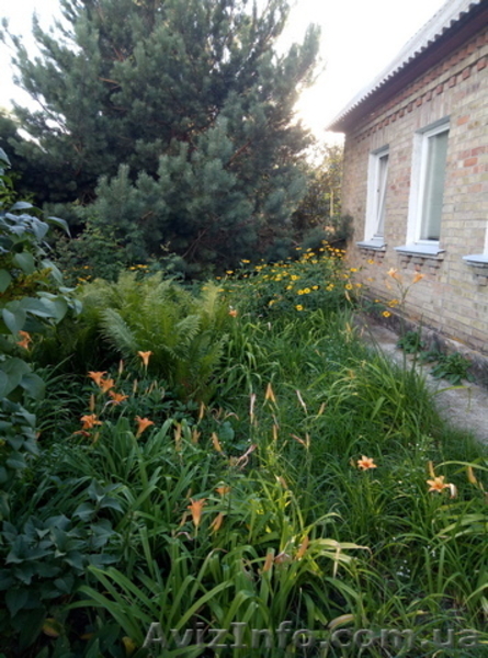 СРОЧНО! Продам дом в отличном состоянии недалеко от Киева - <ro>Изображение</ro><ru>Изображение</ru> #1, <ru>Объявление</ru> #1627165