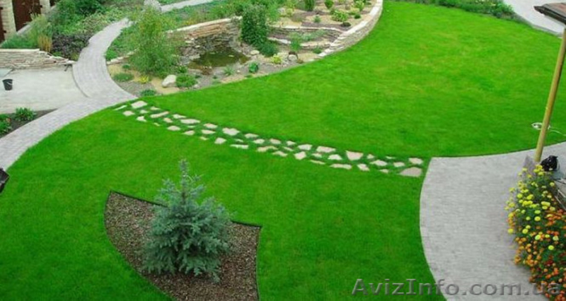 ОПТОВАЯ ЦЕНА Семена газонной травы DLF Trifolium - <ro>Изображение</ro><ru>Изображение</ru> #5, <ru>Объявление</ru> #1626181