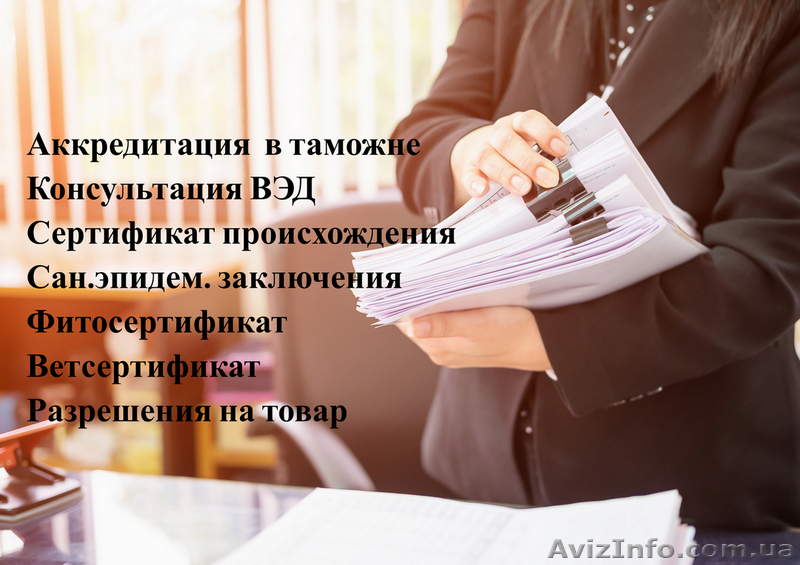 Растаможим авто и груз. Киев и регион - <ro>Изображение</ro><ru>Изображение</ru> #4, <ru>Объявление</ru> #1628914
