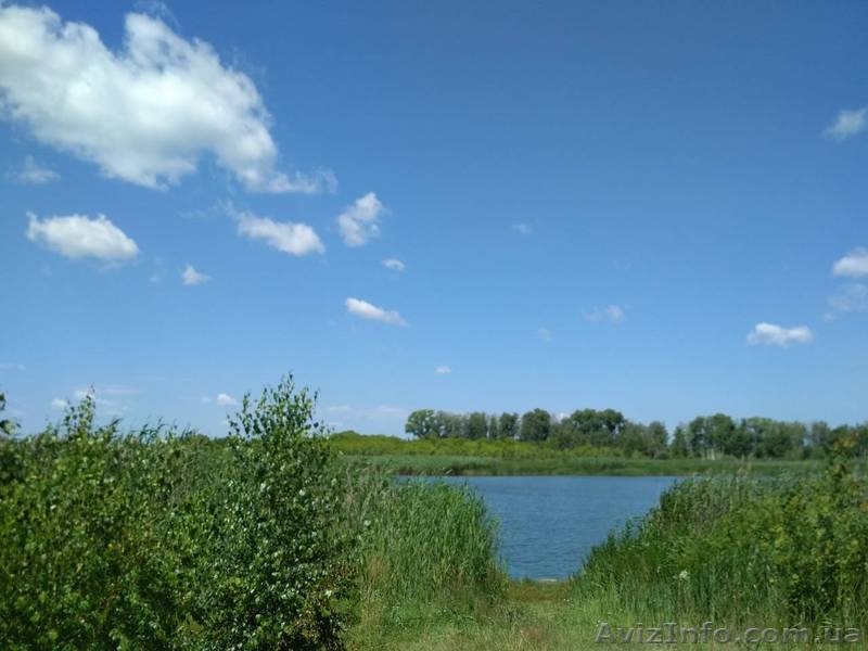 Отдых на природе. - <ro>Изображение</ro><ru>Изображение</ru> #4, <ru>Объявление</ru> #1630019