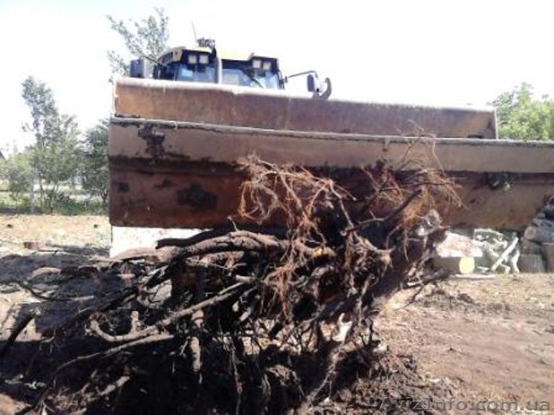 Услуги уборки территории. Уборка территории - <ro>Изображение</ro><ru>Изображение</ru> #3, <ru>Объявление</ru> #1635825