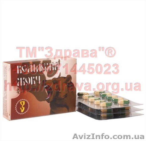 Медвежья желчь сухая настойка медвежьей желчи капсулы - <ro>Изображение</ro><ru>Изображение</ru> #2, <ru>Объявление</ru> #1634262